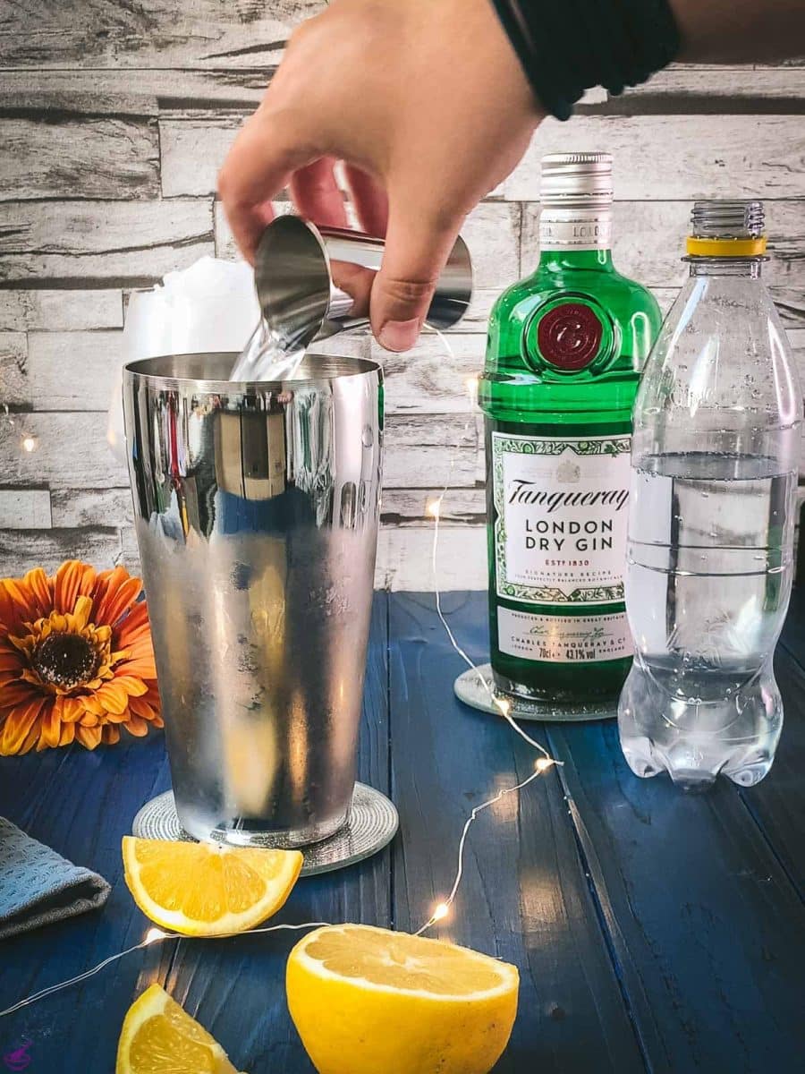 Add gin to your shaker.