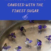 How to Make Candied Violets (Sugared Violets Recipe)