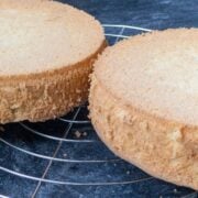 Two sponge cakes on cooling rack from the side.