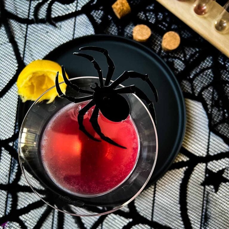 Blood red Halloween cocktail in glass decorated with spider. Black serving plate and spider web decoration.