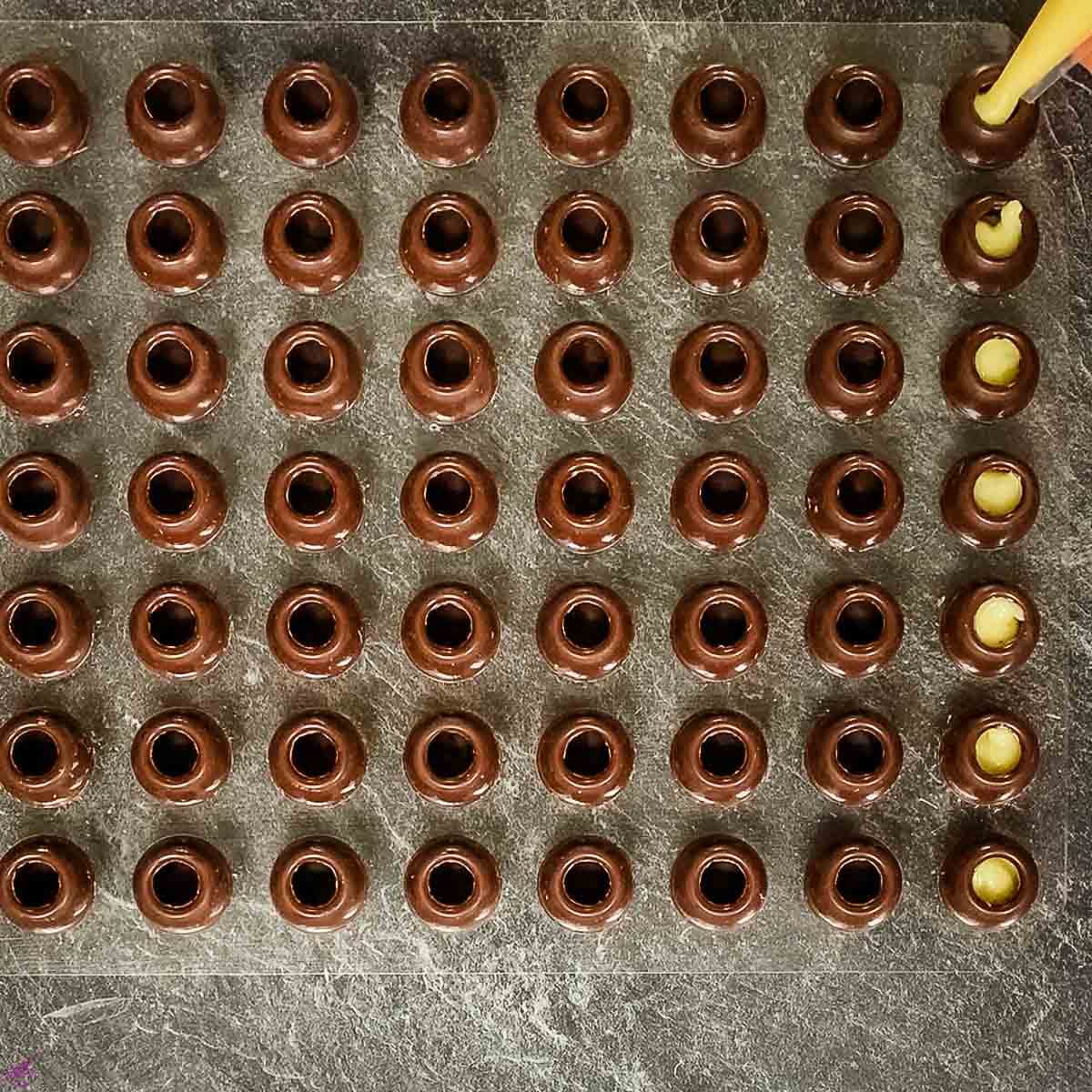 Chocolate hollow spheres during eggnog ganache filling.