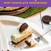 A refreshing green no bake mint chocolate cheesecake with Oreo crust and After Eight pieces inside the cream cheese filling.