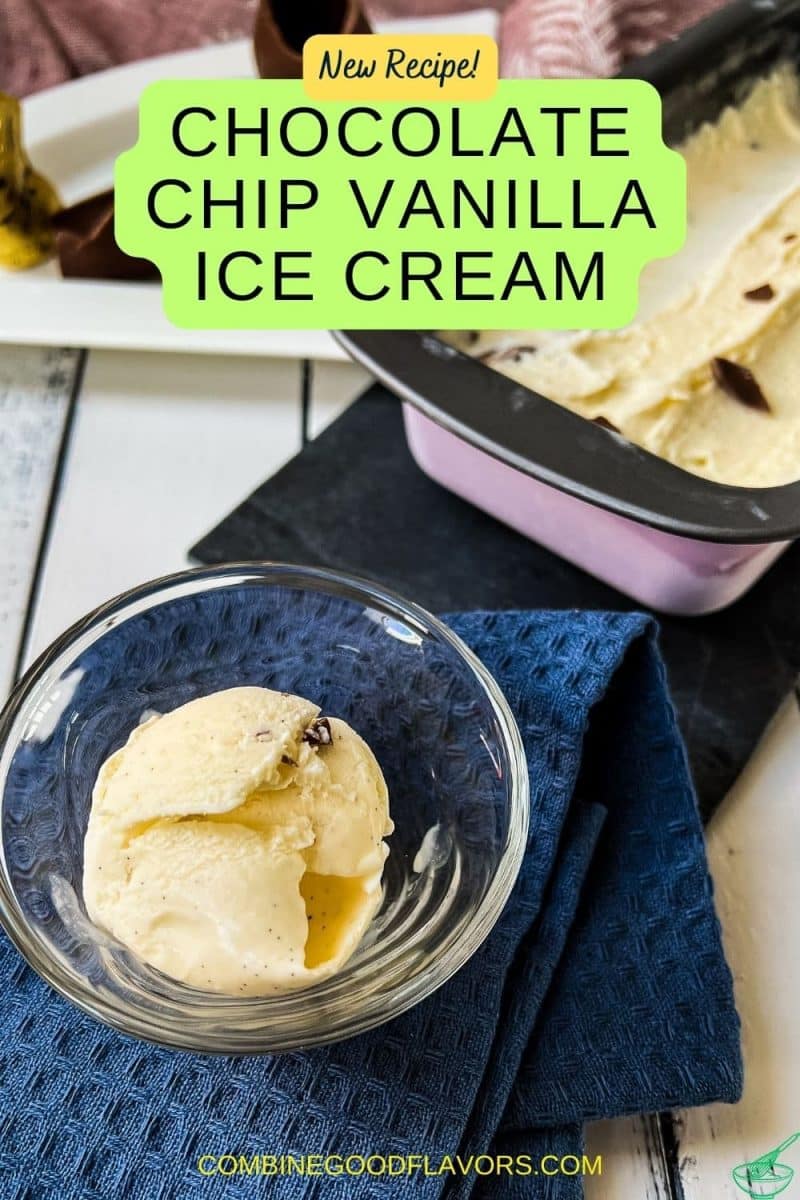 Chocolate Chip Vanilla Ice Cream
