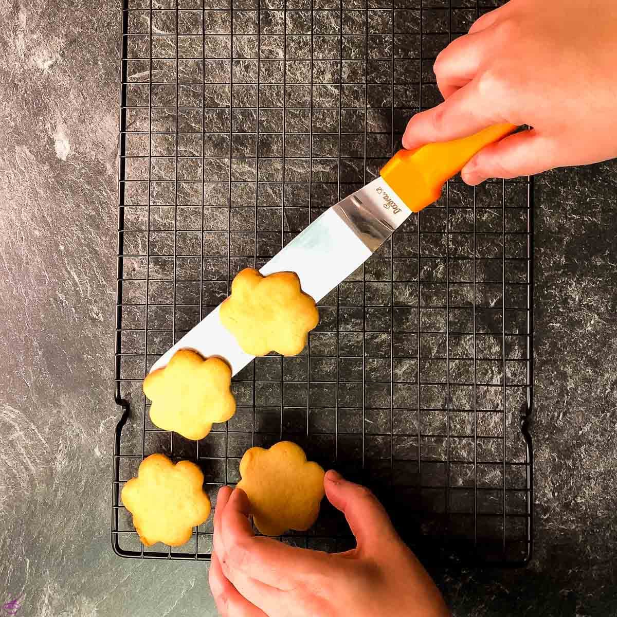 Flower shape sugar cookies on cooling rack.