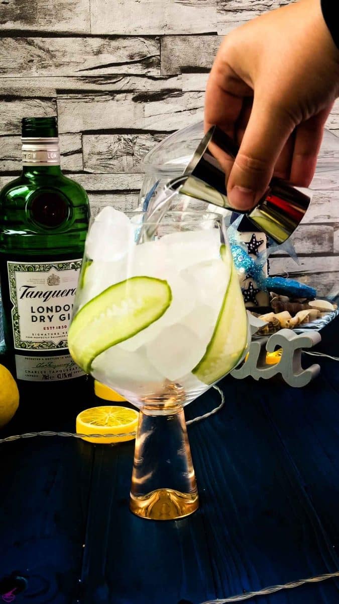 Refreshing Cucumber Gin & Tonic