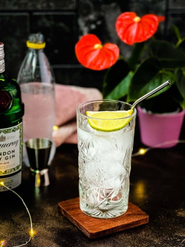 The Complete Guide to Gin & Tonic