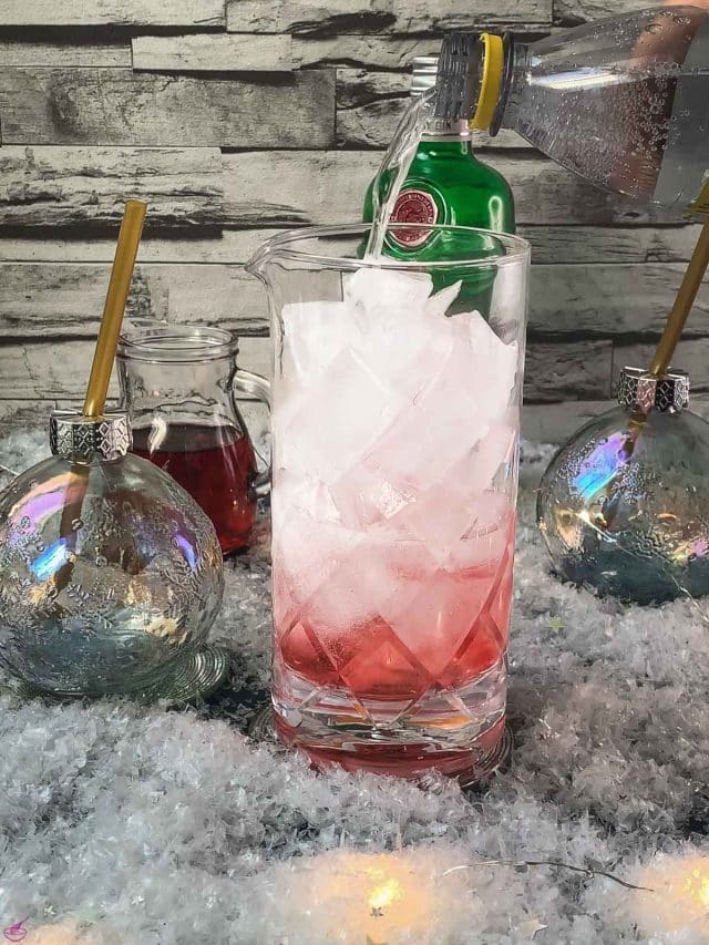 Festive Cranberry Gin And Tonic