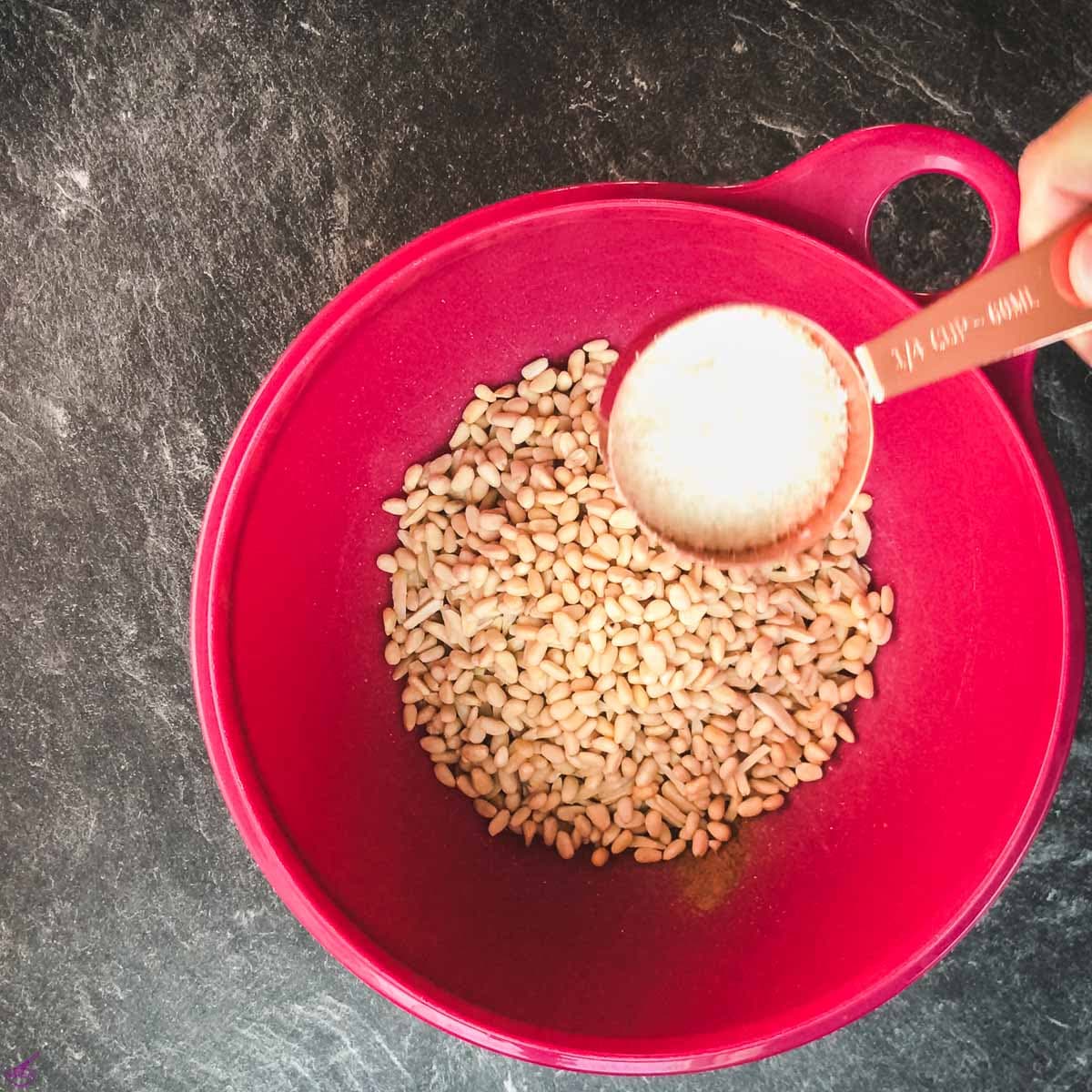 Combine the oats, salt, cinnamon, almonds, pine nuts, and coconut in a mixing bowl.