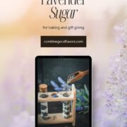 Phiolen gefüllt mit Schichten aus getrocknetem Lavendel und Kristallzucker. Das perfekte Geschenk für backbegeisterte Freunde und Verwandte.