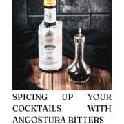 One bottle and one dasher with angostura bitters placed on wooden ground.