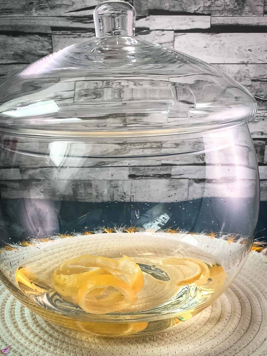 Glass punch bowl with closed lid placed on white table mat. Filled with white wine and lemon zest.