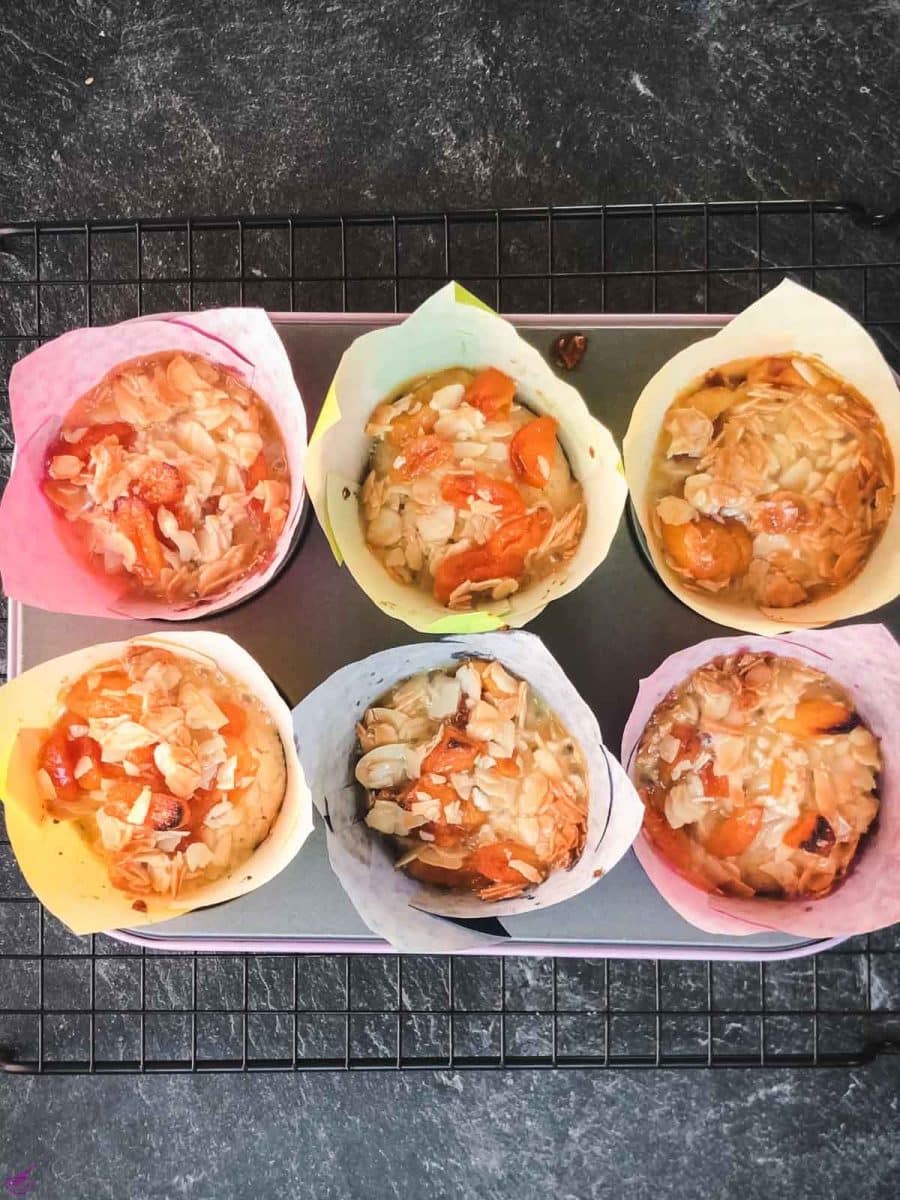 Delicious dried apricot breakfast muffins, with homemade caramel topping, in muffin rack.