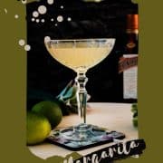 Gorgeous silky Margarita, served in cocktail glass and placed on coaster with flower pattern.