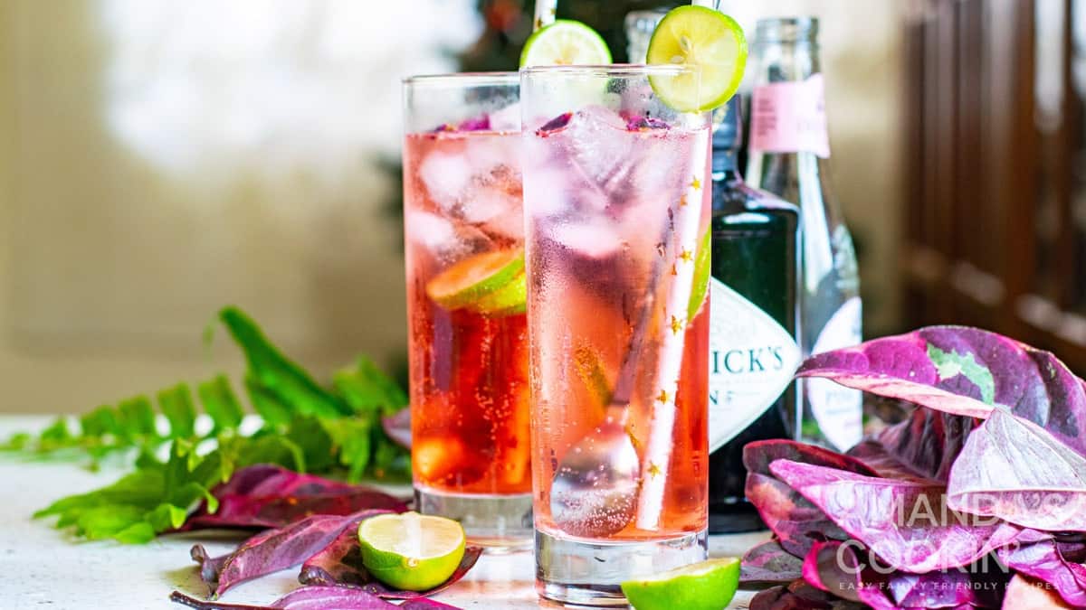 Indulge in the juniper-infused euphoria of National Gin and Tonic Day with our curated recipe roundup!