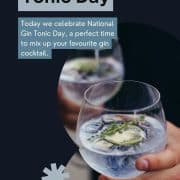 Indulge in the juniper-infused euphoria of National Gin and Tonic Day with our curated recipe roundup!