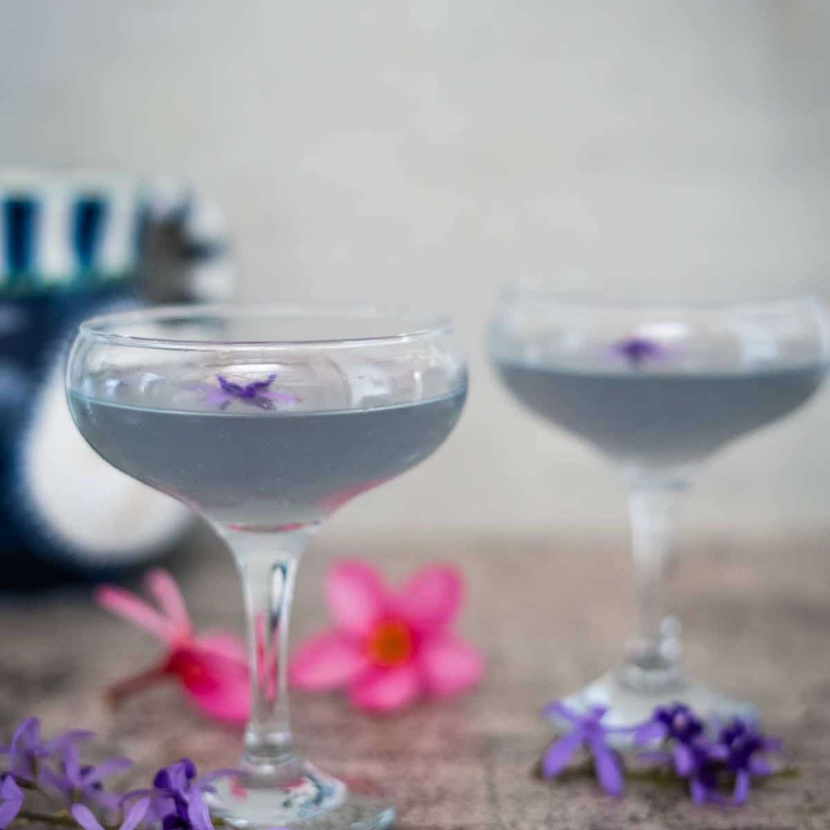 33 Irresistible Martini Recipes for National Martini Day on June 19th!