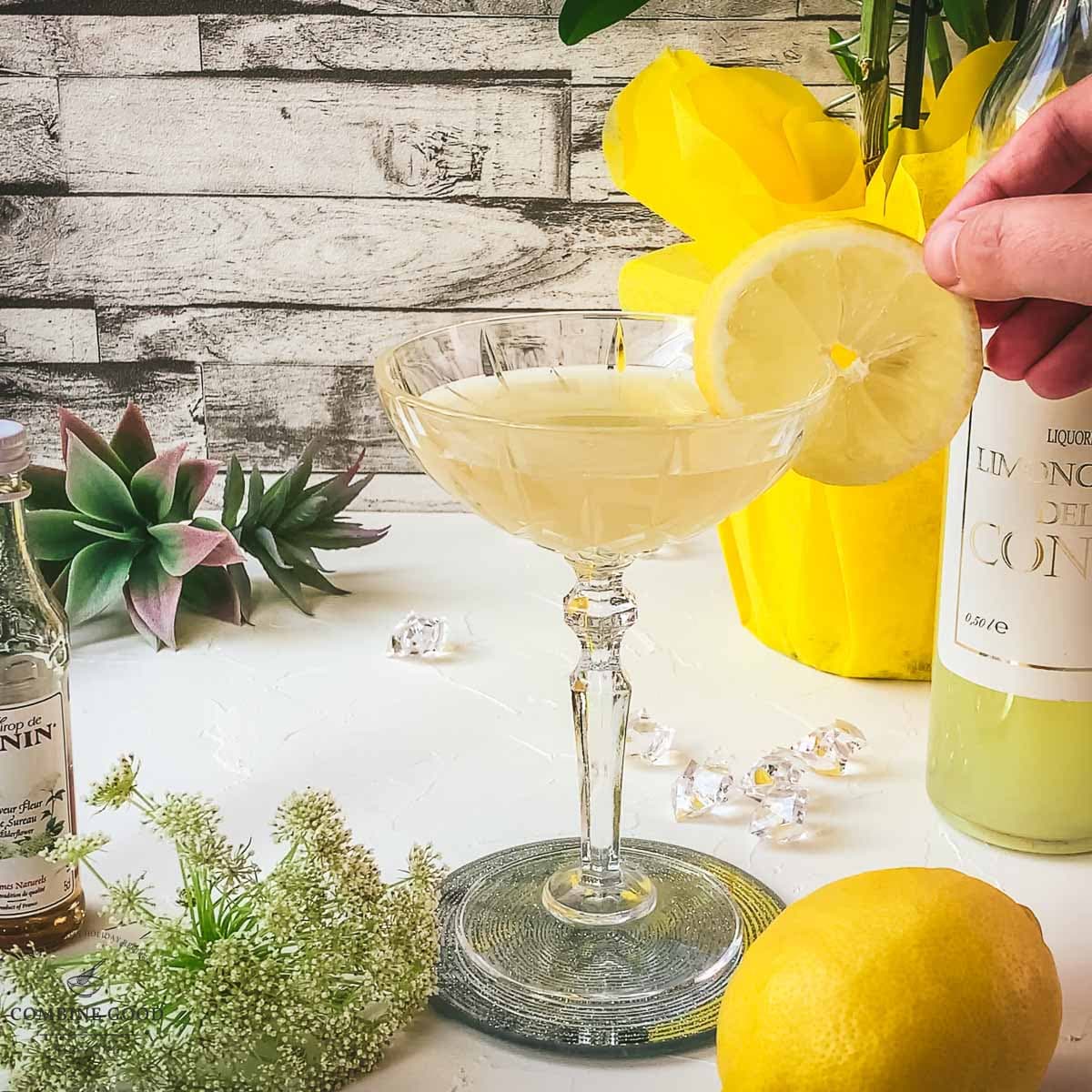 Hand is placing a lemon slice on the side of a cocktail glass.