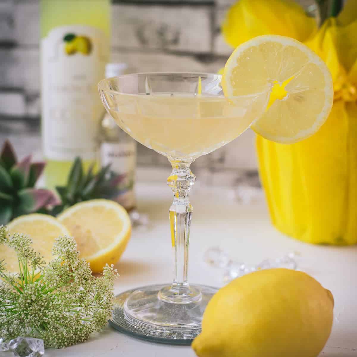 Gorgeous Limoncello Martini cocktail with elderflower syrup. Garnished with a lemon slice and placed on a mirrored coaster.