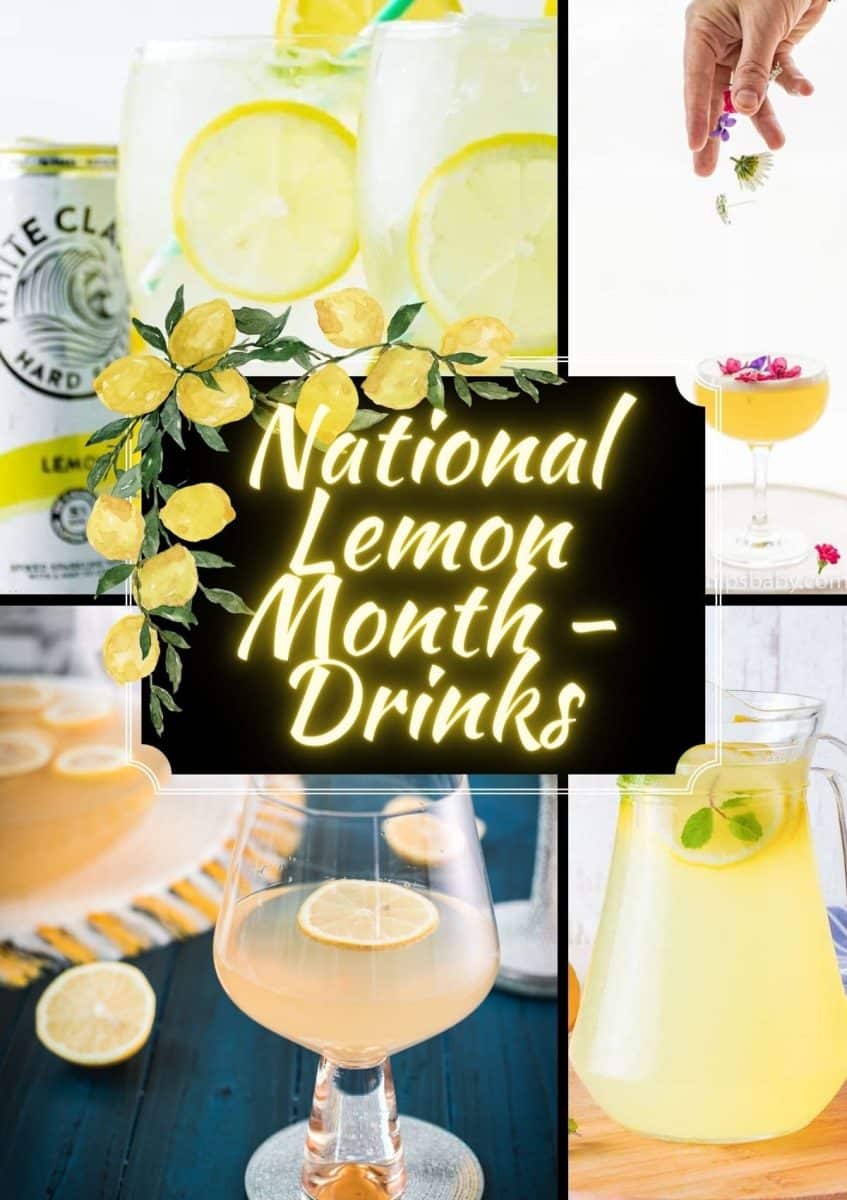 Sip, savor, and celebrate National Lemon Month with our zesty cocktail roundup!