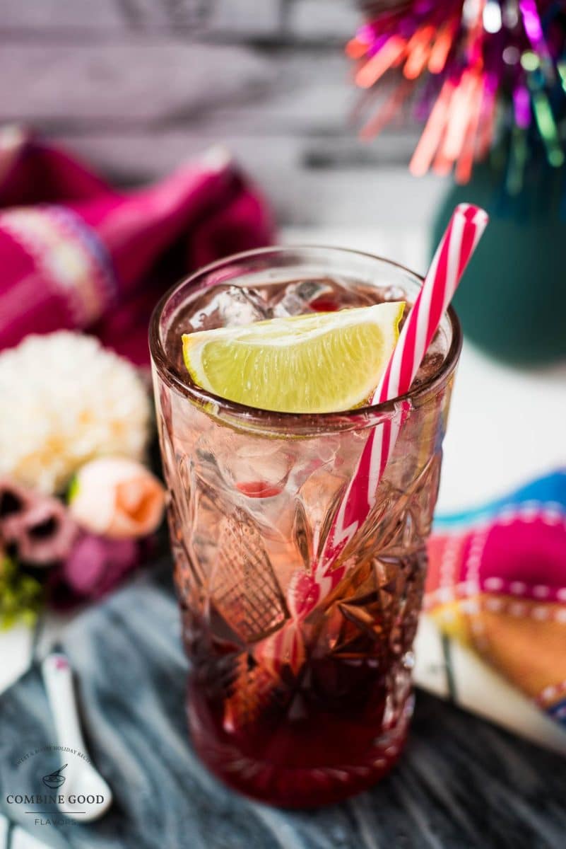 Gorgeous high ball glass filled with raspberry gin tonic, using sloe gin. Garnished with a lime wedge and a drinking straw.