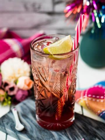 Gorgeous high ball glass filled with raspberry gin tonic, using sloe gin. Garnished with a lime wedge and a drinking straw.