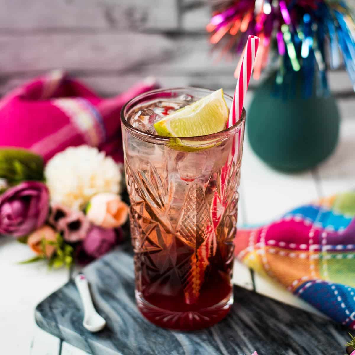 Gorgeous high ball glass filled with raspberry gin tonic, using sloe gin. Garnished with a lime wedge and a drinking straw.