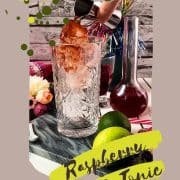 Gorgeous high ball glass filled with raspberry gin tonic, using sloe gin. Garnished with a lime wedge and a drinking straw.