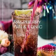 Gorgeous high ball glass filled with raspberry gin tonic, using sloe gin. Garnished with a lime wedge and a drinking straw.