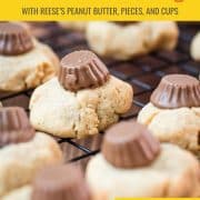 Utterly delicious Reese's peanut butter cookies served on a white plate, with a Reese's peanut butter mini cup on top.