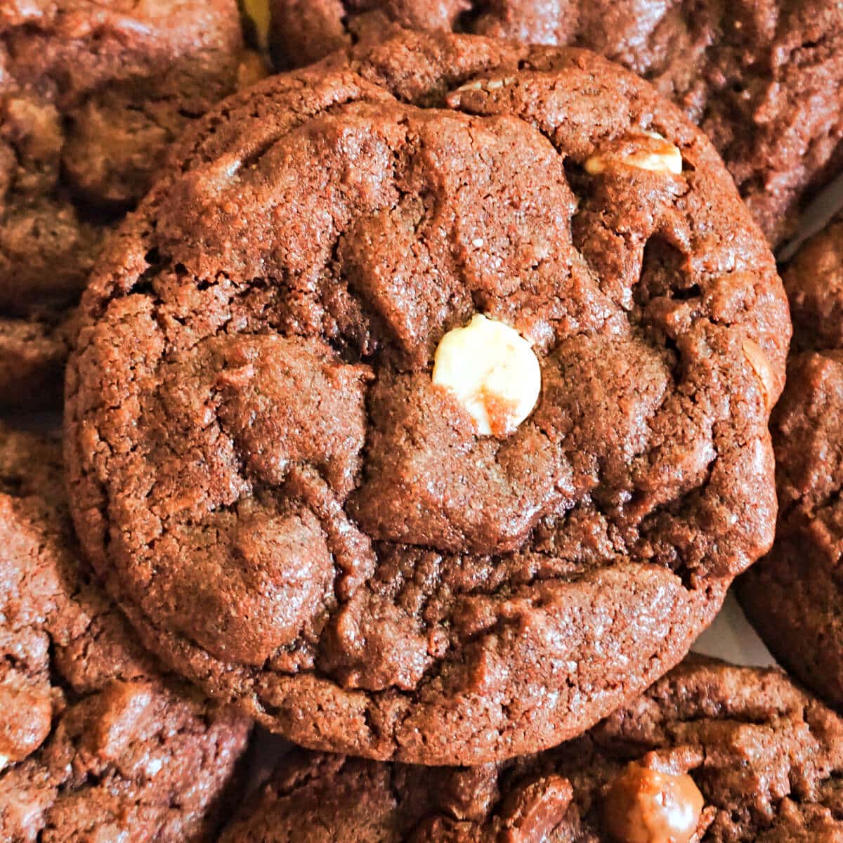 Dive into 50 irresistible chocolate chip cookie recipes! From classic to unique, find your new favorite treat.