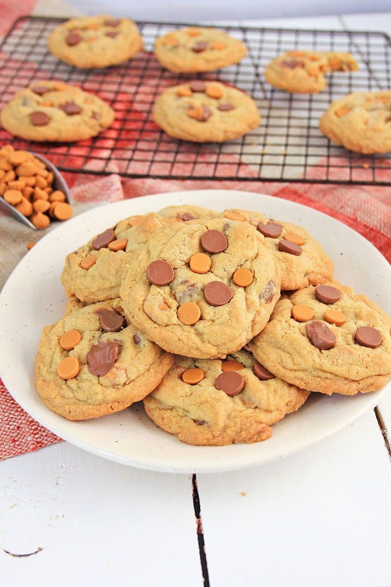 Dive into 50 irresistible chocolate chip cookie recipes! From classic to unique, find your new favorite treat.