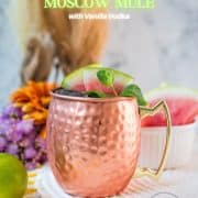 Gorgeous copper mug, filled with a delicious watermelon Moscow mule. Garnished with watermelon slices and mint leaves.