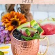 Gorgeous copper mug, filled with a delicious watermelon Moscow mule. Garnished with watermelon slices and mint leaves.