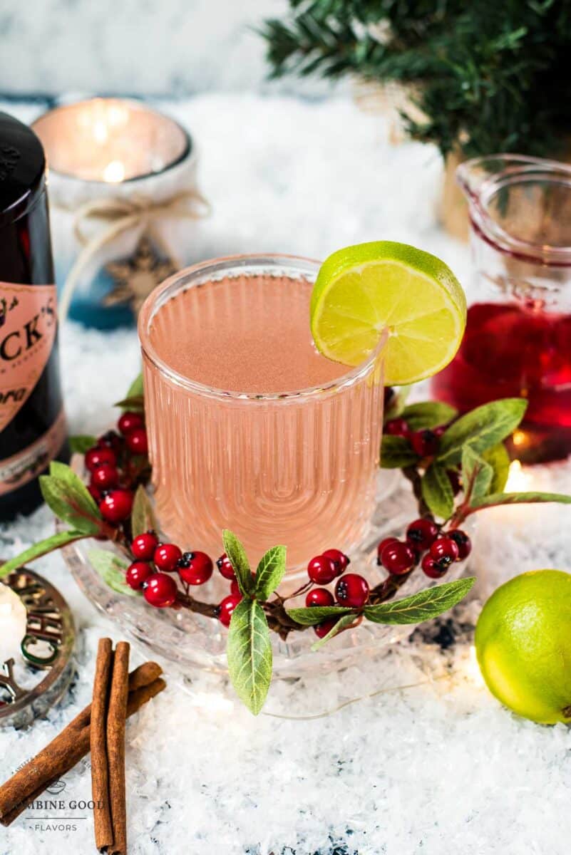 Festive cranberry gin fizz cocktail, garnished with a simple lime slice. Placed on snowy ground next to cinnamon sticks and a bottle of Hendricks Flora Adora Gin.