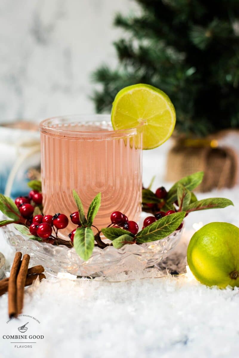 Festive cranberry gin fizz cocktail, garnished with a simple lime slice. Placed on snowy ground next to cinnamon sticks.