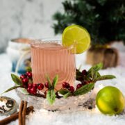 Festive cranberry gin fizz cocktail, garnished with a simple lime slice. Placed on snowy ground next to cinnamon sticks.