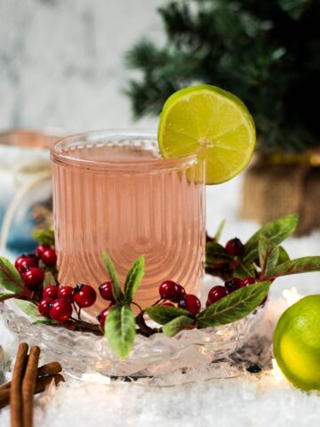 Festive cranberry gin fizz cocktail, garnished with a simple lime slice. Placed on snowy ground next to cinnamon sticks.