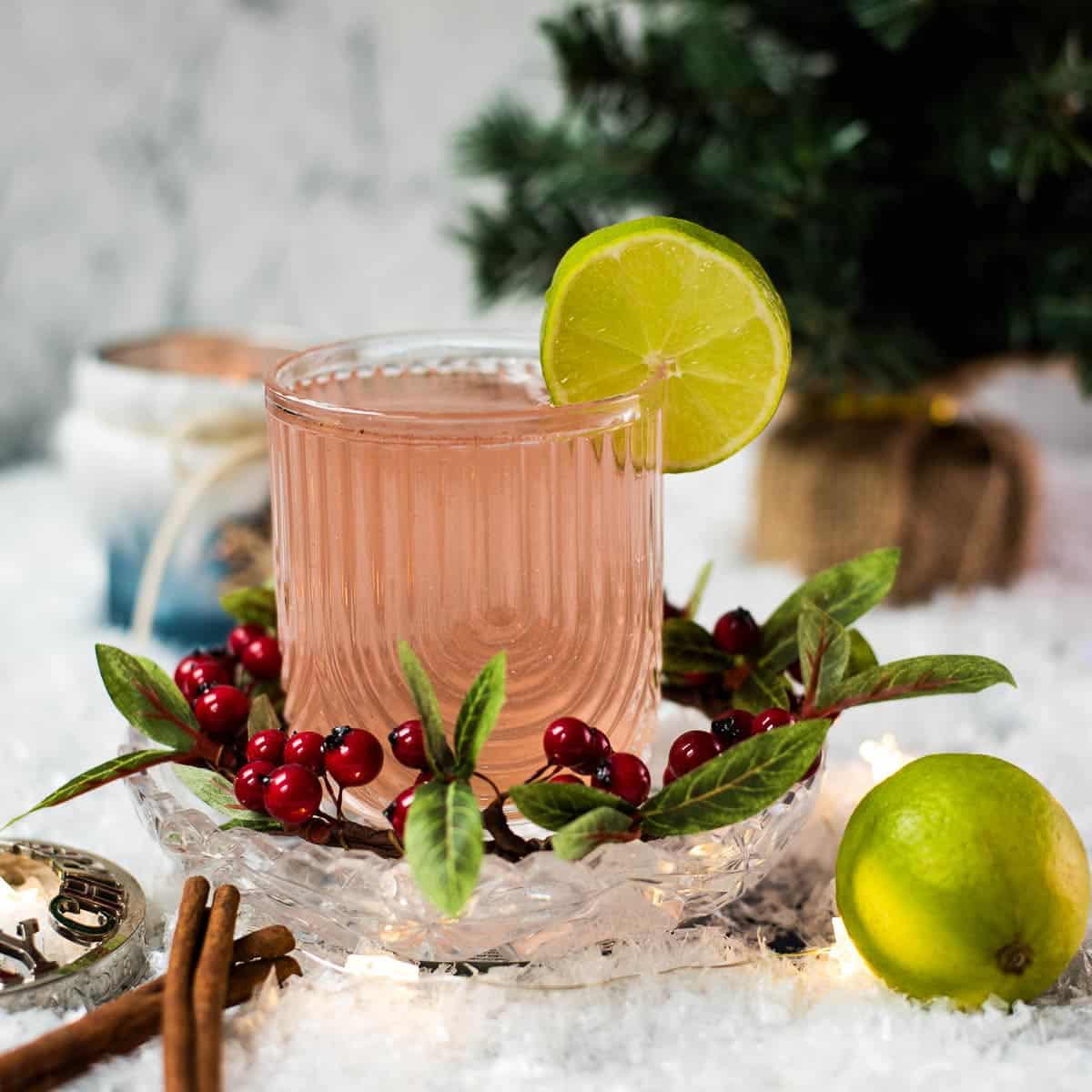 Cranberry Gin Fizz