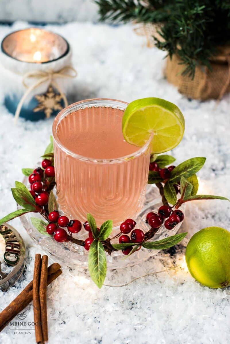 Festive cranberry gin fizz cocktail, garnished with a simple lime slice. Placed on snowy ground next to cinnamon sticks.