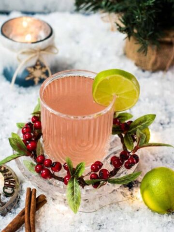 Festive cranberry gin fizz cocktail, garnished with a simple lime slice. Placed on snowy ground next to cinnamon sticks.