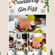 Festive cranberry gin fizz cocktail, garnished with a simple lime slice. Placed on snowy ground next to cinnamon sticks.