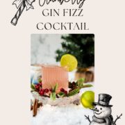 Festive cranberry gin fizz cocktail, garnished with a simple lime slice. Placed on snowy ground next to cinnamon sticks.