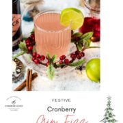 Festive cranberry gin fizz cocktail, garnished with a simple lime slice. Placed on snowy ground next to cinnamon sticks.