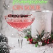 Gorgeous pink cranberry maraschino sour garnished with iced cranberries on a cocktail skewer.