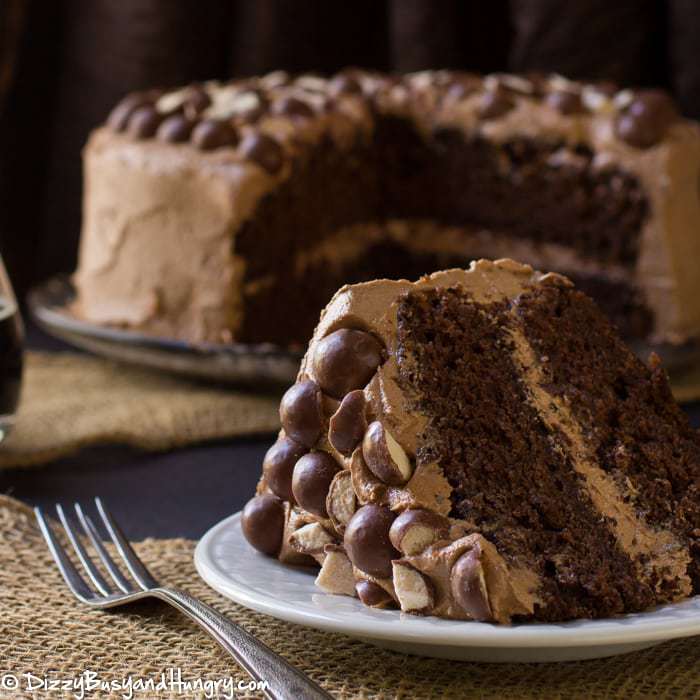 Celebrate National Chocolate Cake Day with this collection of a bunch of divine recipes. From fudgy bundts to flourless cakes, these desserts will satisfy every chocolate lover’s dream!