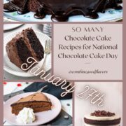 Celebrate National Chocolate Cake Day with this collection of a bunch of divine recipes. From fudgy bundts to flourless cakes, these desserts will satisfy every chocolate lover’s dream!