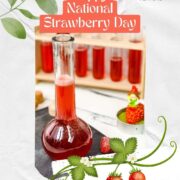 Let's celebrate national strawberry day on February 27th