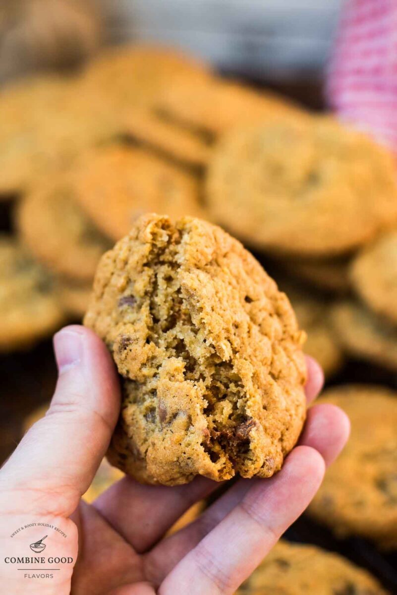 Hand is holding two halves of soft and delicious oatmeal chocolate chip cookies.