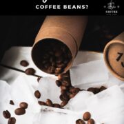 Coffee beans placed on white plate placed filled with cubed ice.