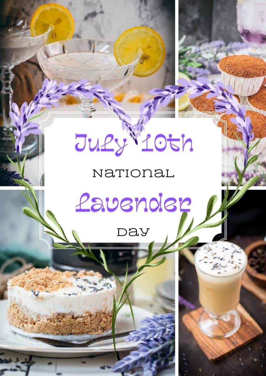 Discover a gorgeous roundup of lavender-inspired recipes to celebrate National Lavender Day—featuring coffee creations, sweet treats, and floral favorites that are as calming as they are delicious.